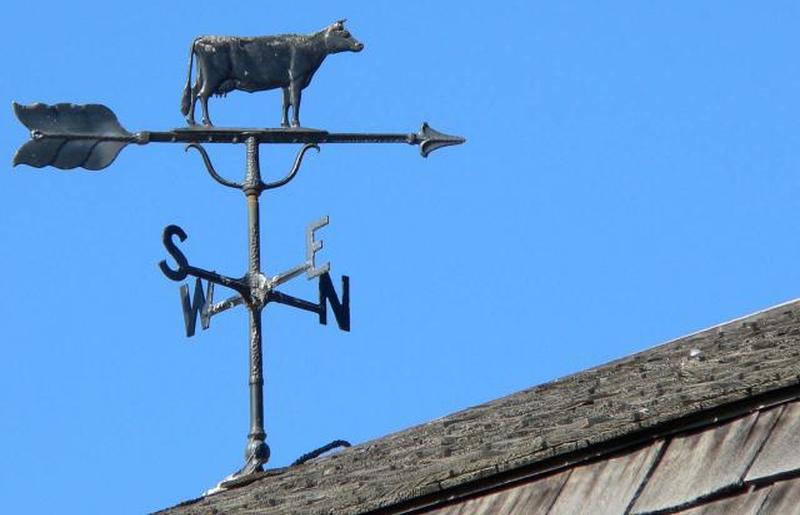 Флюгер коровы