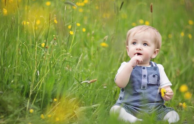 присмотр за детьми на цветочном лугу 