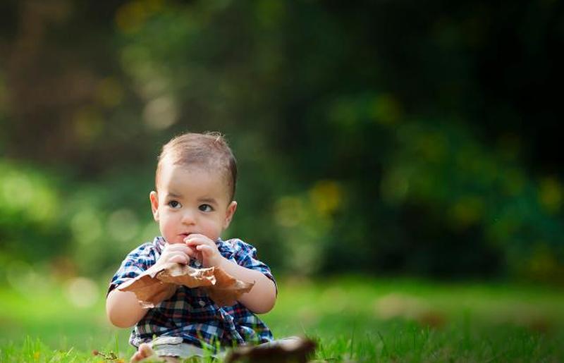 Красивый ребенок играет листиком на солнышке