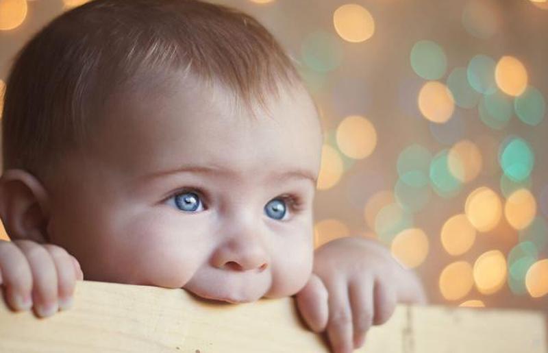 Мальчик грызет деревянную коробку