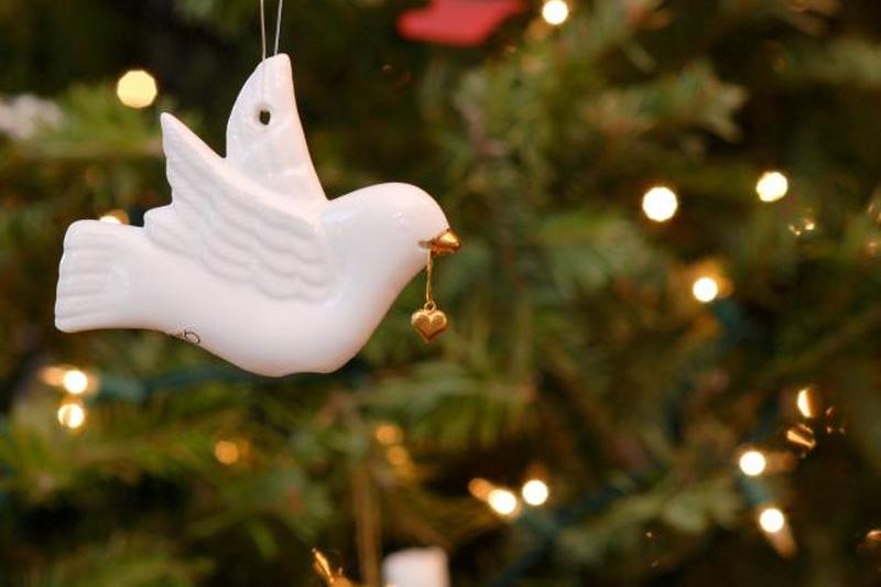 Орнамент белый голубь на елке