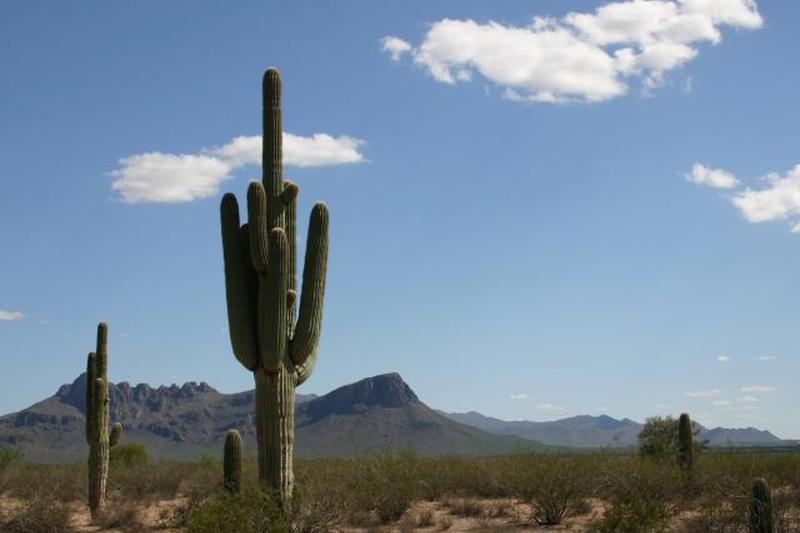 Тусон, Аризона