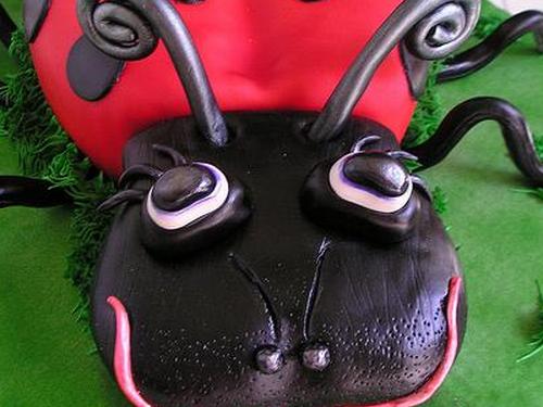 божья коровка