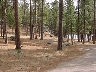 Тенистый отдых