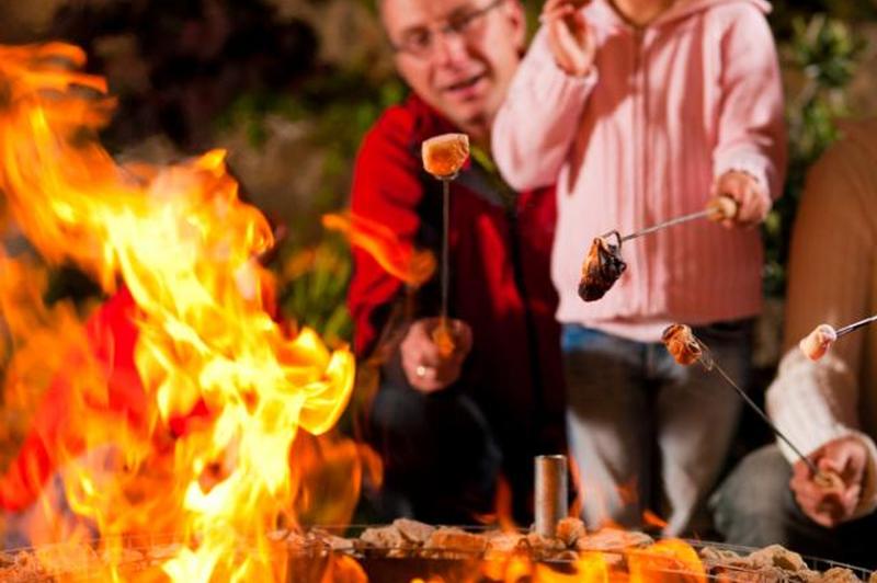 Зефир у костра