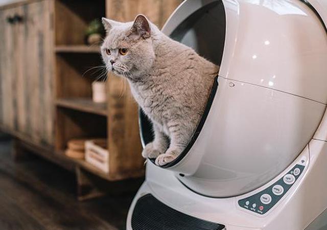Туалетный ящик-робот для кошек
