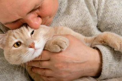 мужчина держит кошку