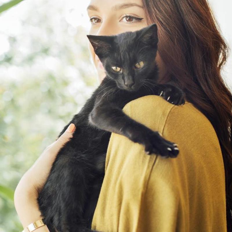 https://cf.ltkcdn.net/cats/images/slide/243062-850x850-woman-and-cat.jpg