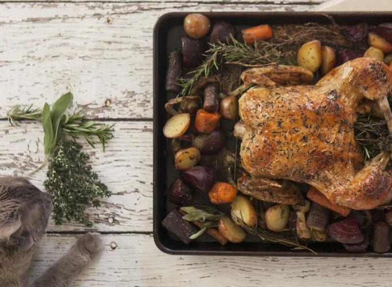 Кошка рядом с жареным цыпленком