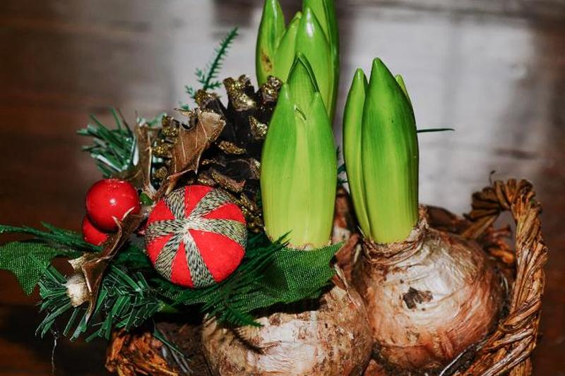 Весна в рождественской подарочной корзине