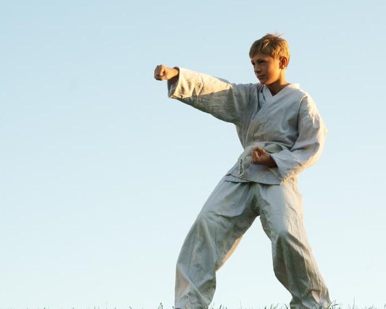 https://cf.ltkcdn.net/costumes/images/slide/105134-774x620-Karate-Kid.jpg