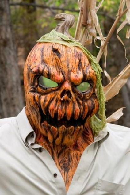 https://cf.ltkcdn.net/costumes/images/slide/145911-424x636r1-CrazyPumpkinHead1.jpg