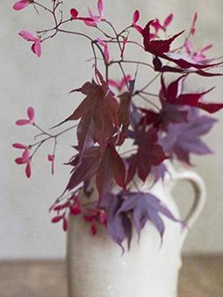 Осенняя листва в центре белого кувшина 