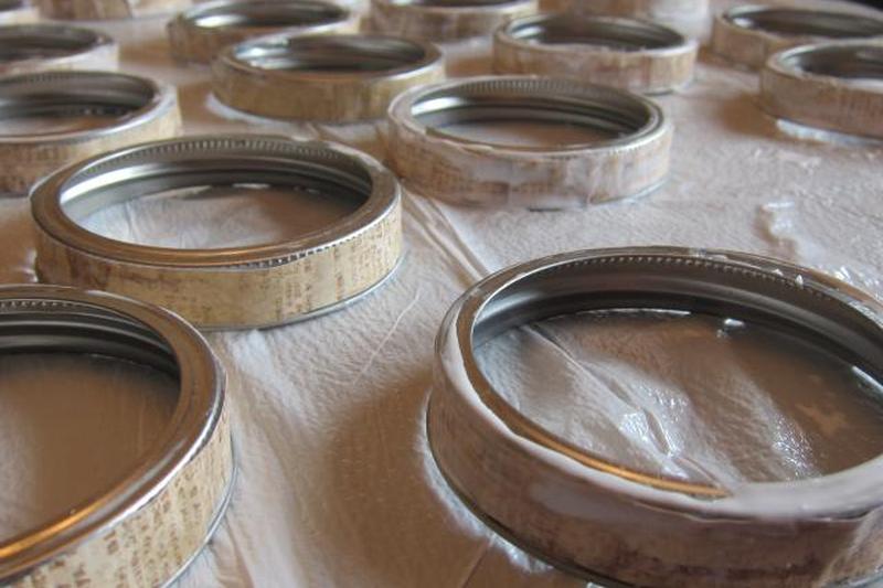 консервная крышка тыквы