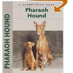 Фараонова собака - Джульетт Канлифф