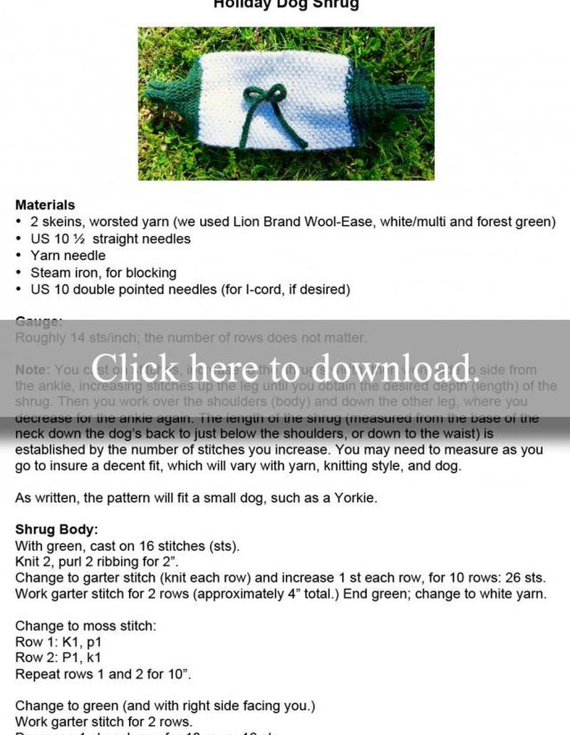 Щенок пожимает плечами