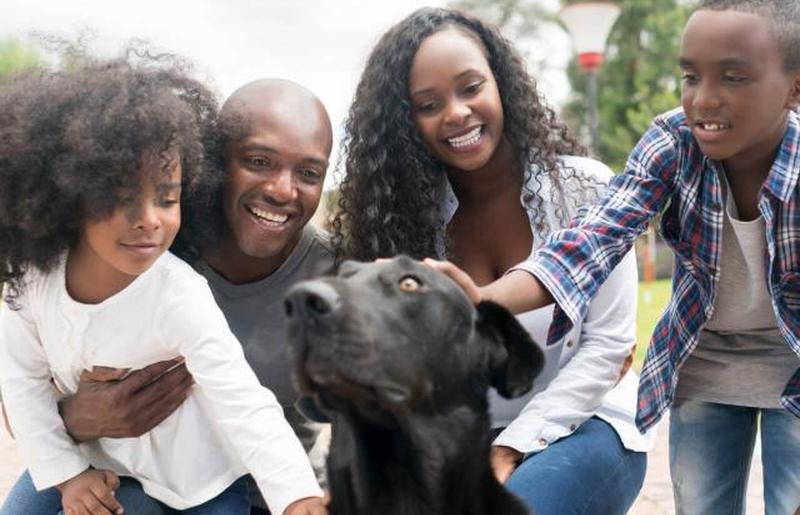 Счастливая семья усыновляет собаку