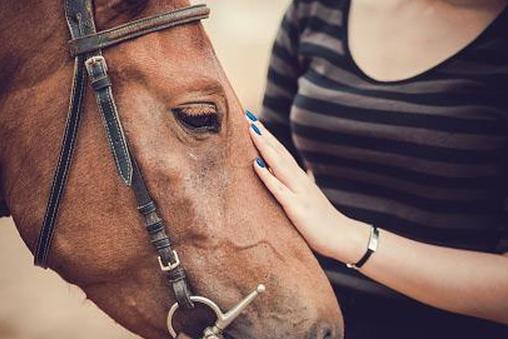 Конная терапия