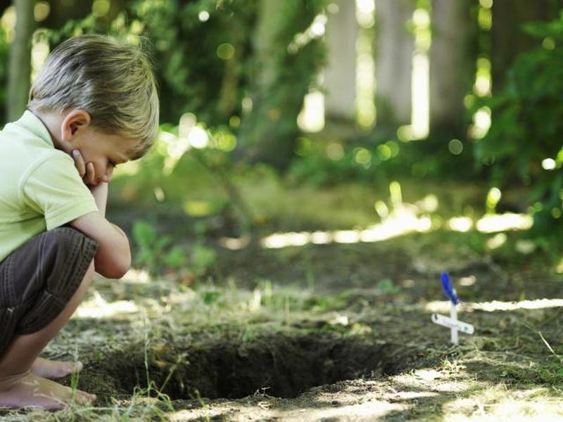 Мальчик смотрит в могилу домашнего животного