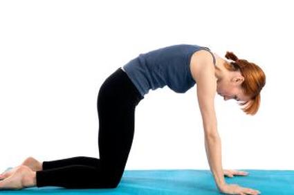 кошка растягивается