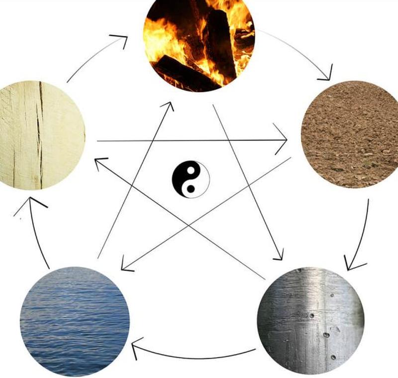 Элементарный цикл жизни