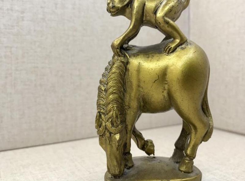 Обезьяна на лошади