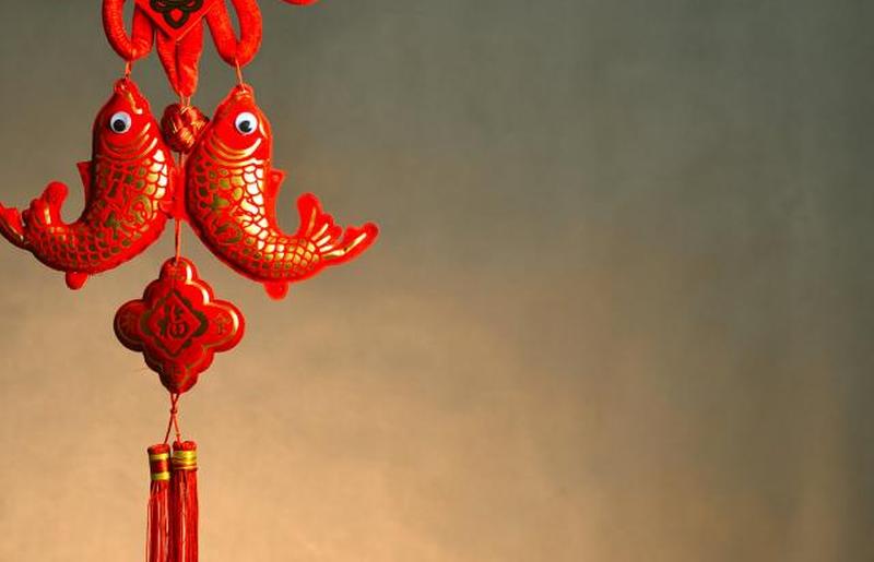 Символ карпа (кои)