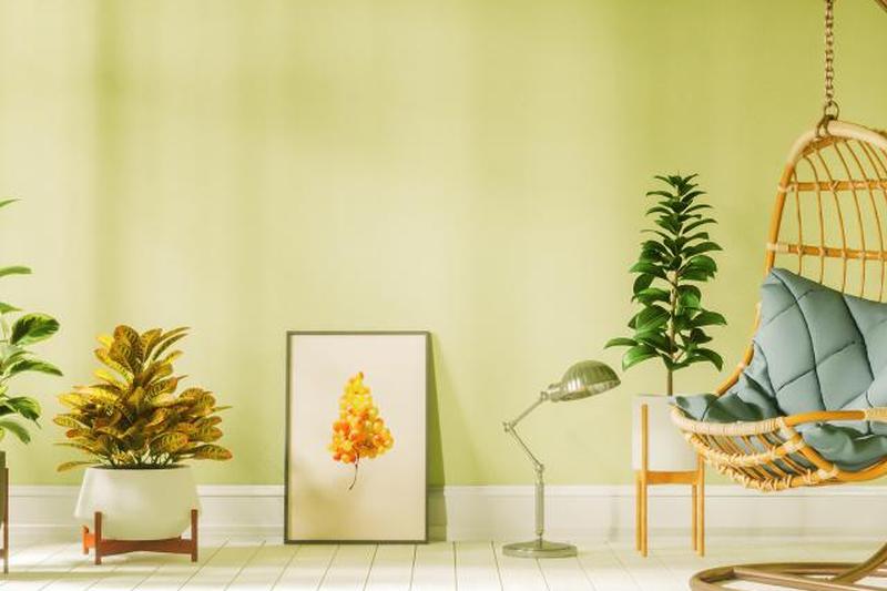 Гостиная с подвесным креслом-яйцом и растениями