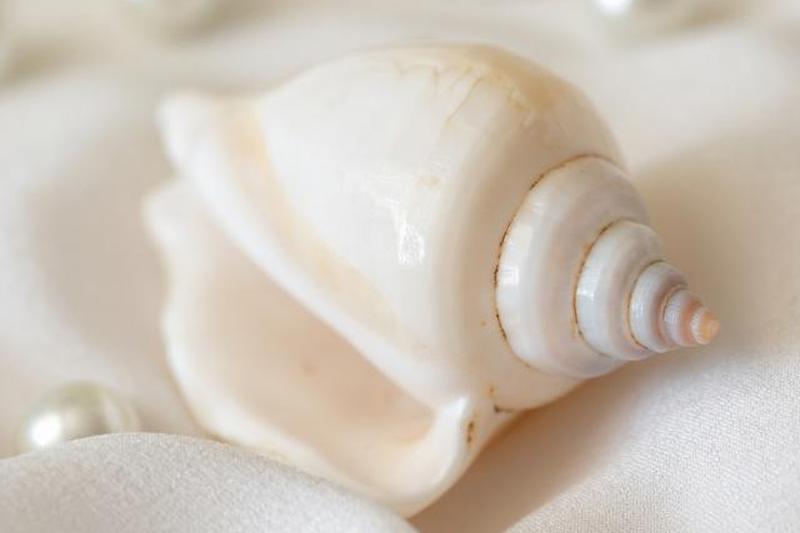 Белая раковина