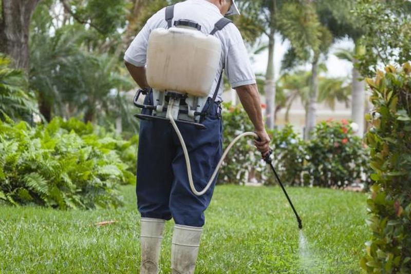Техник по борьбе с сорняками опрыскивает сорняки