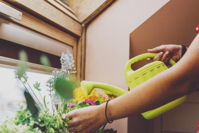 Женщина использует лейку для растений