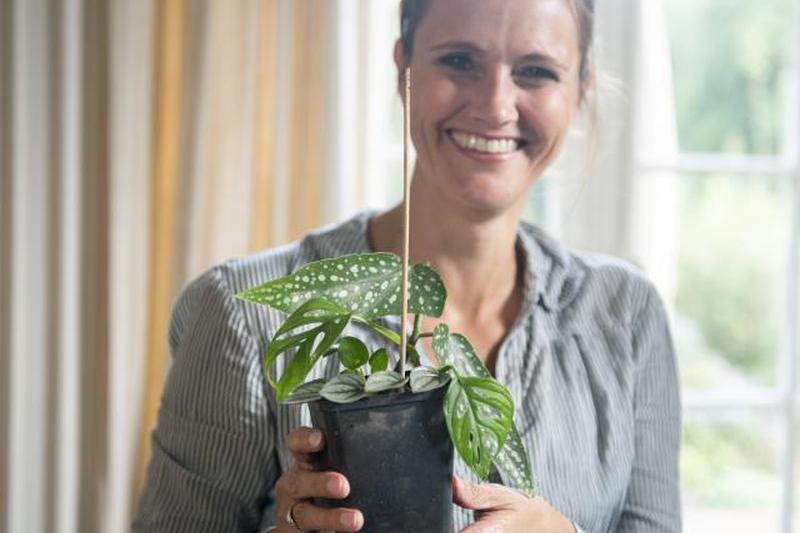 Женщина позирует со свежими посаженными черенками