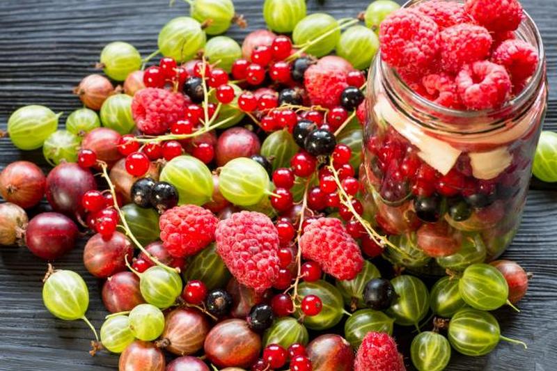 Увидеть больше диких ягод.