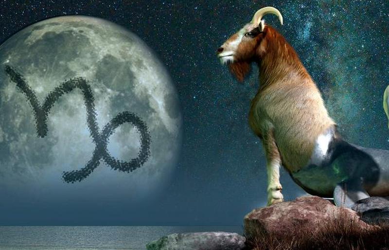 Козерог морской козел