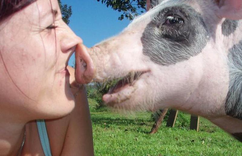 Женщина целует свинью на траве