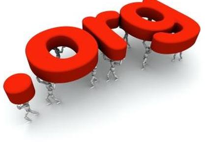 Должностная инструкция директора некоммерческой организации