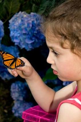 девушка с бабочкой