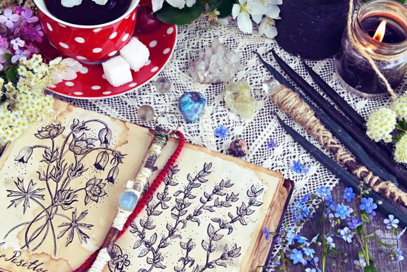 Книга ведьм с волшебными и целебными травами