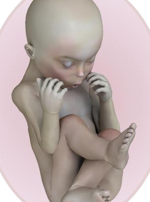 ребенок на 17 неделе беременности