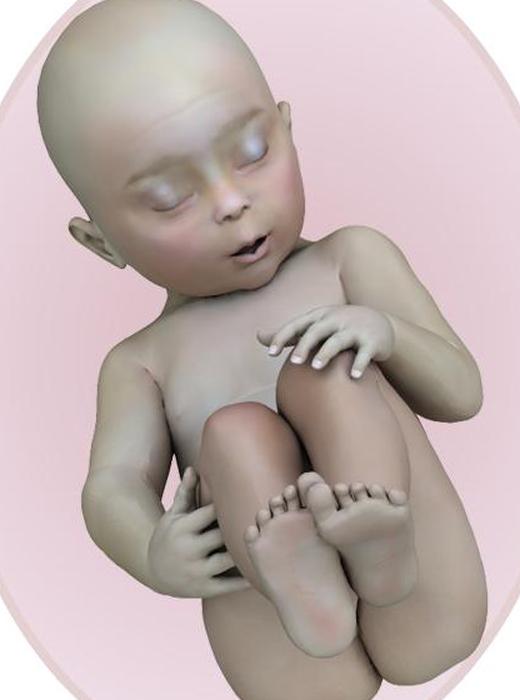 Ребенок на 27 неделе беременности