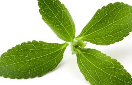 Стевия завод