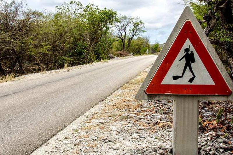 https://cf.ltkcdn.net/safety/images/slide/170049-850x566-Scuba-Diver-Crossing-Sign.jpg