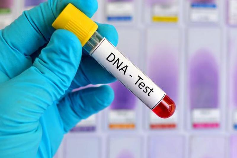 ДНК-тестирование