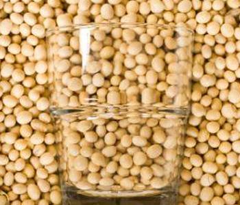 Соевые бобы