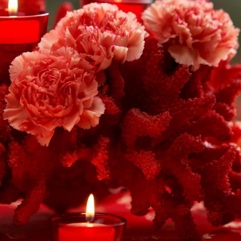 https://cf.ltkcdn.net/weddings/images/slide/226899-850x850-red-coral-and-carnations-centerpiece.jpg