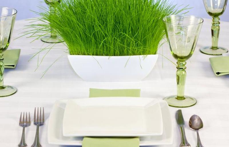 https://cf.ltkcdn.net/weddings/images/slide/249563-1246x800-grass.jpg