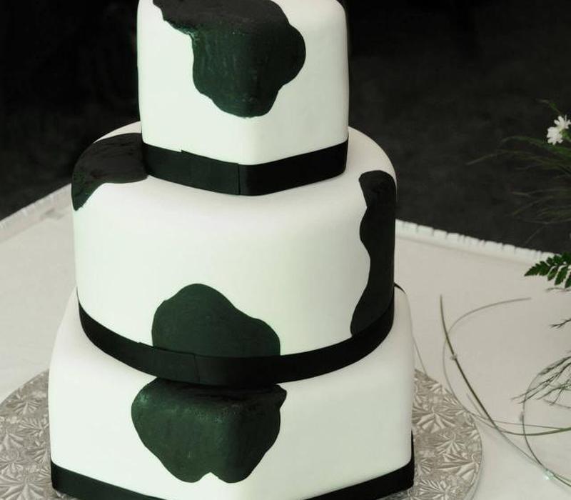 https://cf.ltkcdn.net/weddings/images/slide/266402-850x744-cow-cake.jpg
