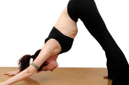 Собака мордой вниз