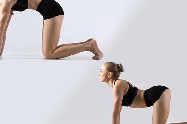 Кошачья корова в йоге